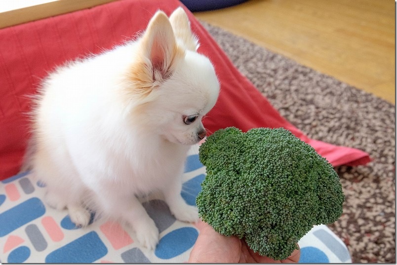 1/6 収穫したびっくり豊作おかわりクン(頂花蕾) 1/6 収穫したびっくり豊作おかわりクン(頂花蕾)