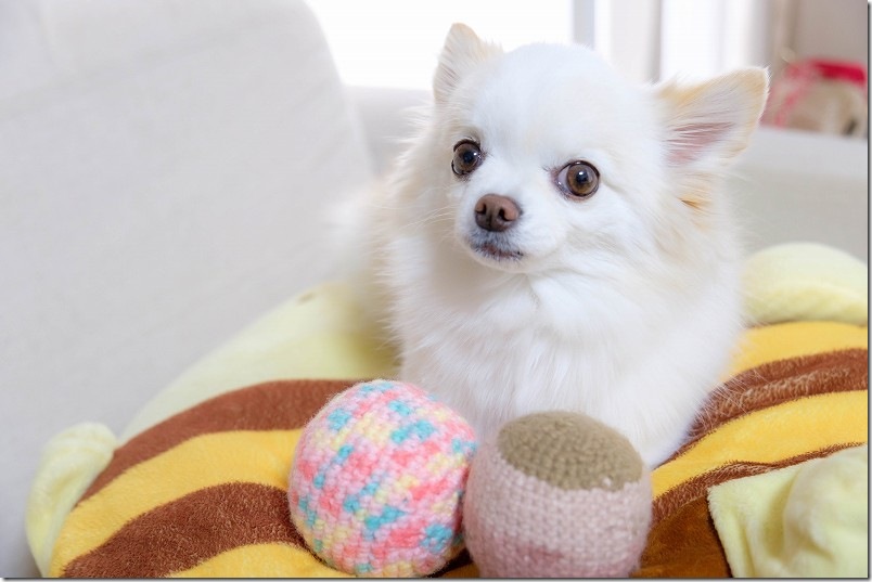 犬用ボール 100均 ダイソーのカラフル（ポッピングピンク）とセリアのcake（NEWケーク 2508）で作った毛糸のボール