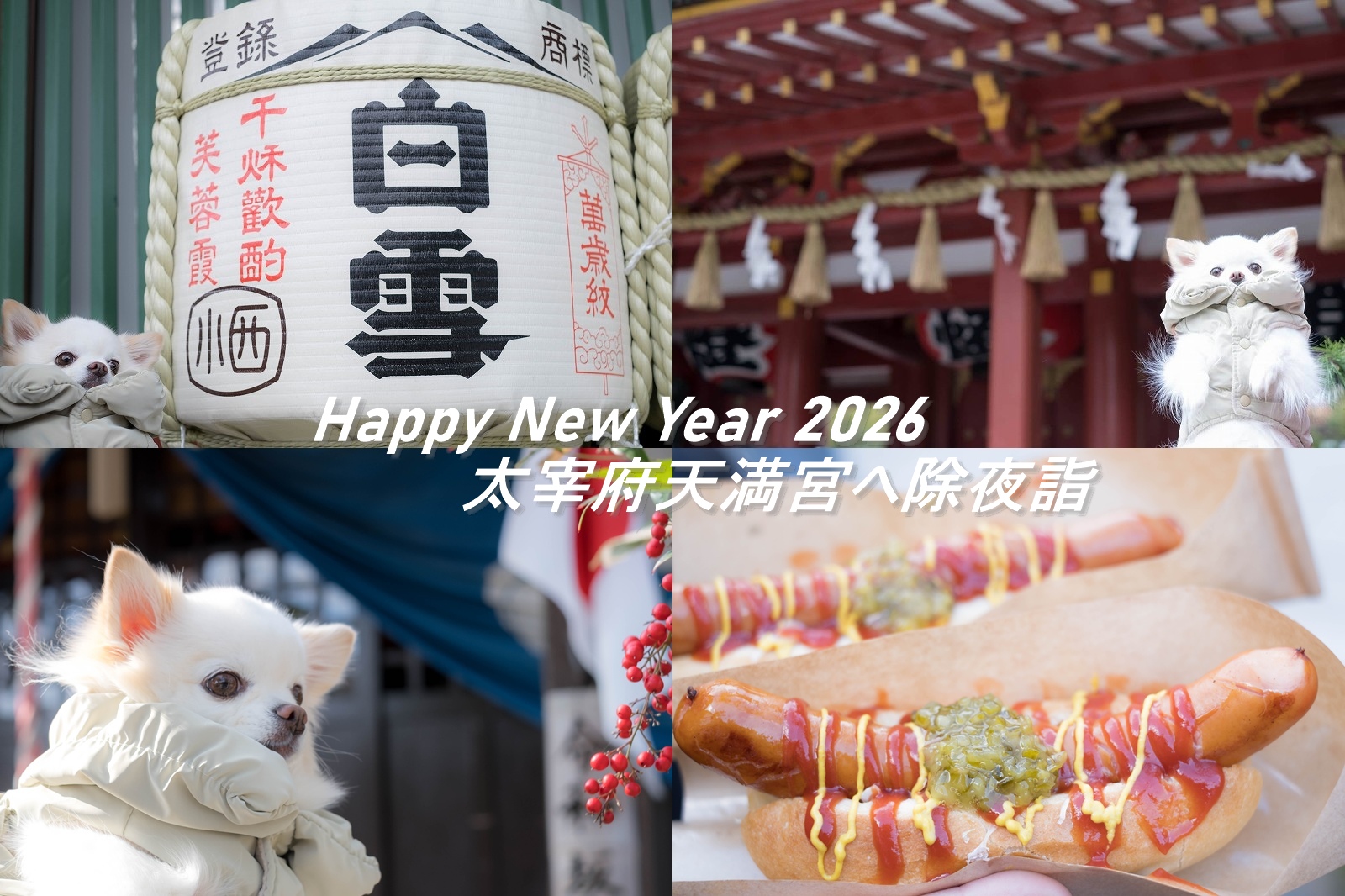 犬連れで太宰府天満宮に大晦日の除夜詣【犬が歩きやすいルートで参拝】