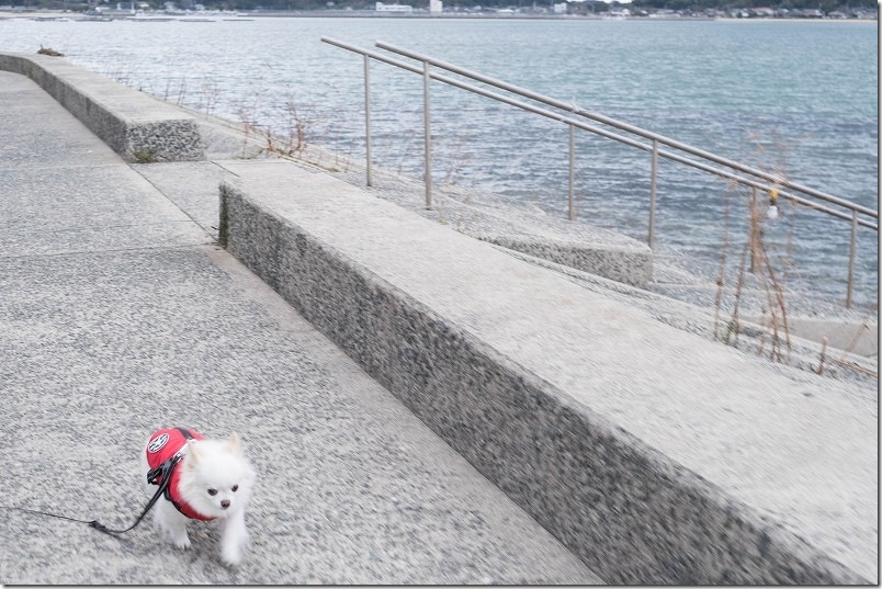 LT2-B-XT301706 LT2-B-XT301706