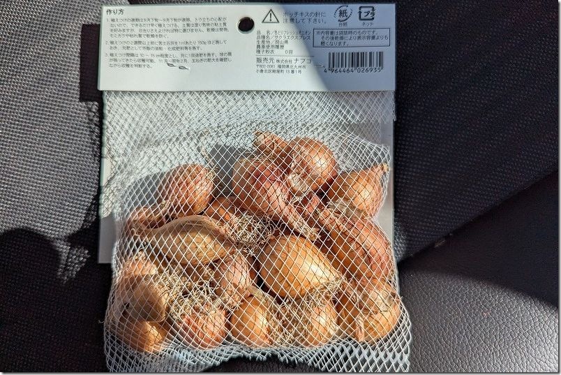 品名は「冬どりフレッシュオニオン」。正式な品種は「サクラエクスプレス」 ホームセンター ナフコで購入498円