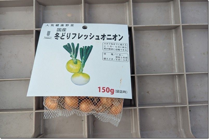 品名は「冬どりフレッシュオニオン」。正式な品種は「サクラエクスプレス」 ホームセンター ナフコで購入498円