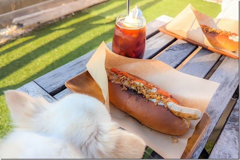 散策のあとはOot Dogで犬とひと休み 糸島・芥屋