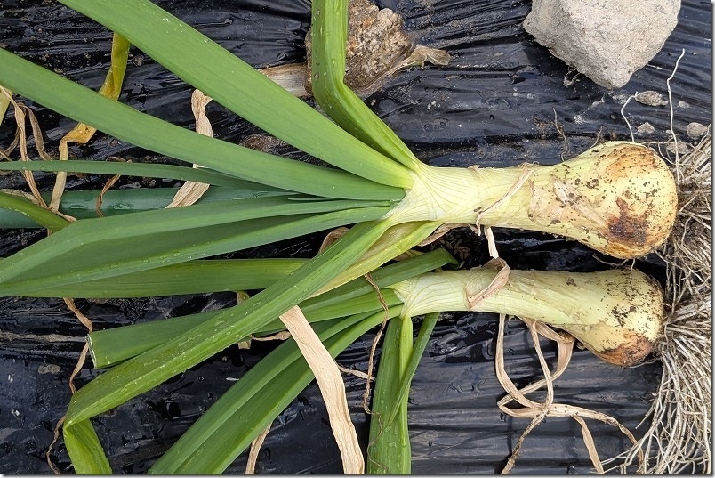 PXL_20250219_080416251[2]