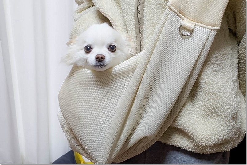 メッシュで長さ調整可能タイプのペットスリングをチワワ（超小型犬）とのお出かけ、旅行用に購入レビュー