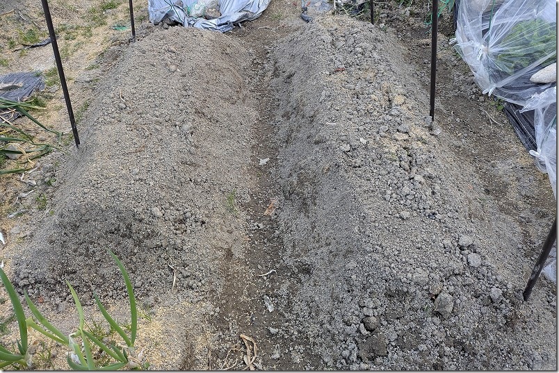 じゃがいもの植え付け用の土作り