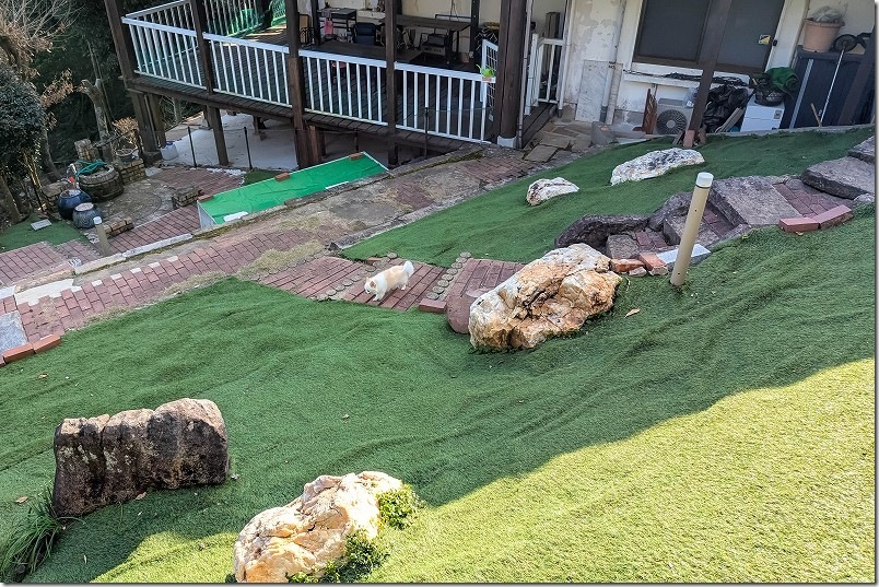 KawanTanyanの宿のドッグラン 16時前の光のあたり具合