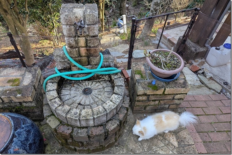 KawanTanyanの宿のドッグラン 水汲みば、屋外