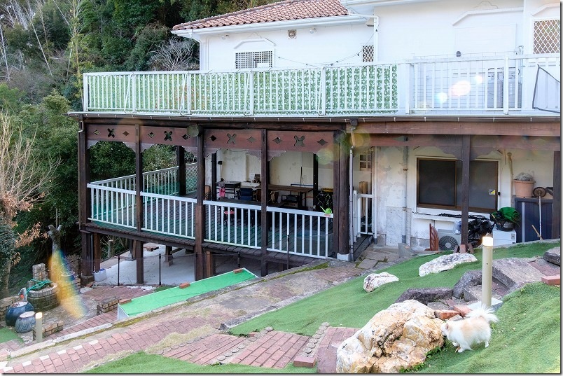 KawanTanyanの宿のドッグランで犬（チワワ）と遊ぶ