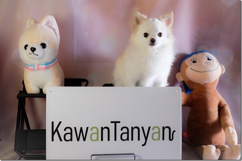 KawanTanyanの宿の撮影スタジオ