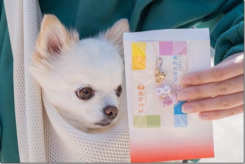 福岡市西区の愛宕神社のペットのお守り(愛玩お守り) 初穂料1500円 福岡市西区の愛宕神社のペットのお守り(愛玩お守り) 初穂料1500円