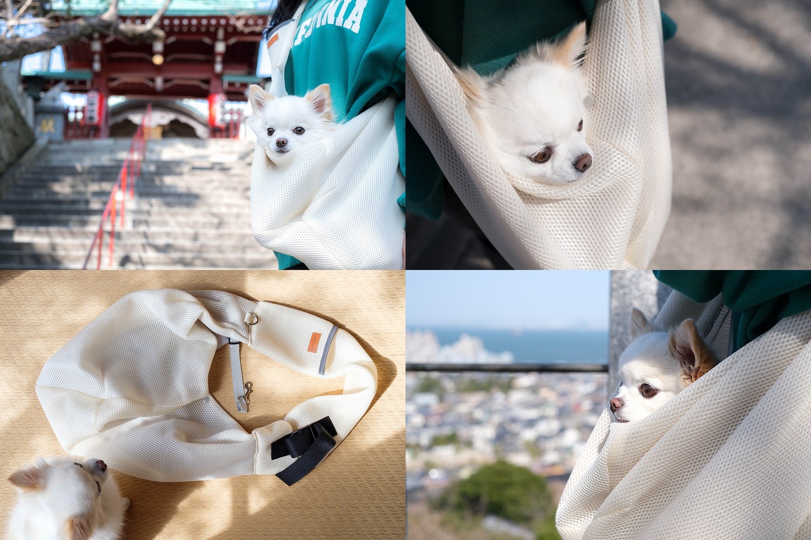 チワワとのお出かけに！メッシュ素材ペットスリング使用レビュー｜2.3kgの超小型犬に使ってみた感想