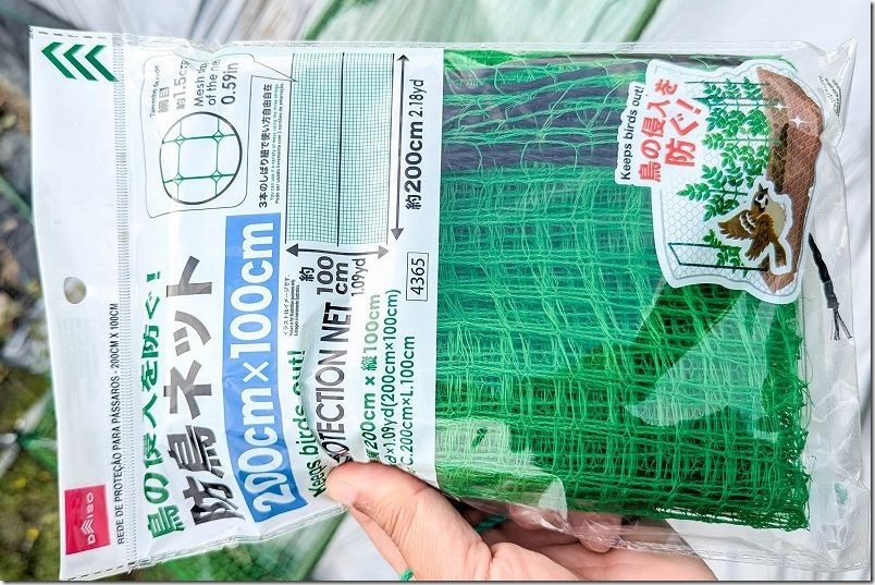 スイカ栽培で藁の代用に100均の防鳥ネットを利用｜地這い栽培