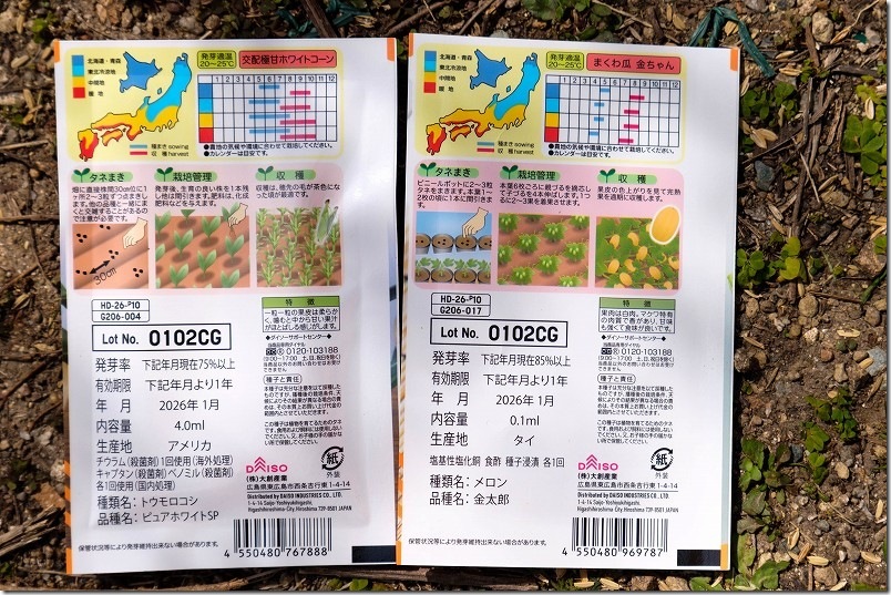 交配極甘ホワイトコーンとまくわ瓜金ちゃんの特徴（100均（ダイソー）の種）
