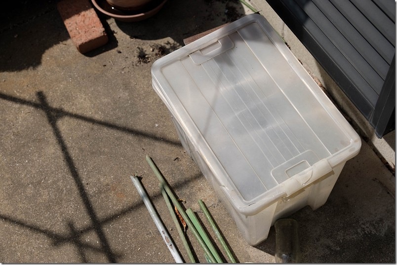 3/17 交配極甘ホワイトコーン・まくわ瓜 金ちゃんの種まき 発芽温度になるように収納BOX内で栽培