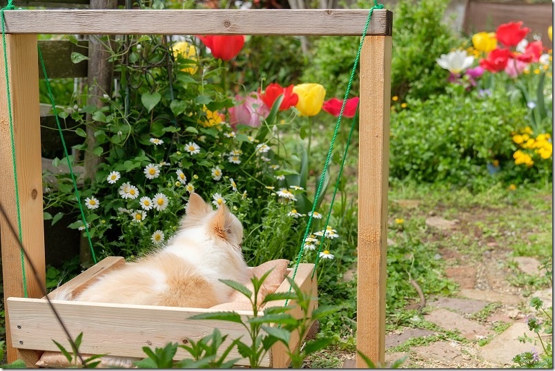 DIYで犬用のブランコを作ってみた DIYで犬用のブランコを作ってみた