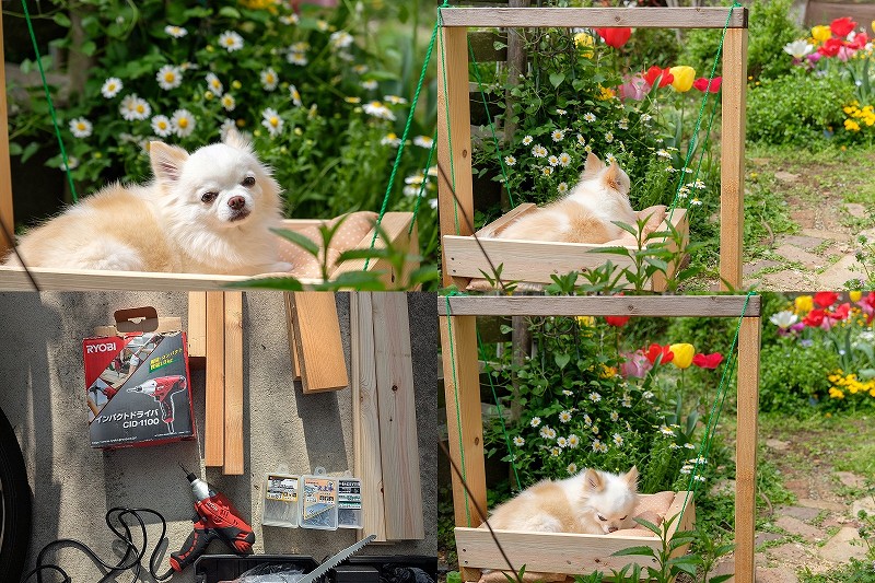 DIYで犬用ブランコを作る方法｜小型犬（チワワ）向けサイズ・材料・作り方【1時間で簡単】