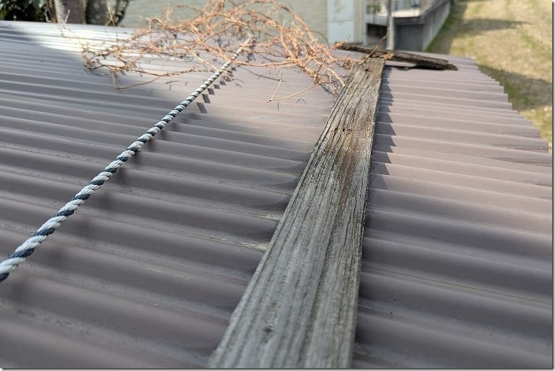 サビた物置の屋根(朽ちて水漏れ)|DIYで補修・修理前 サビた物置の屋根(朽ちて水漏れ)|DIYで補修・修理前