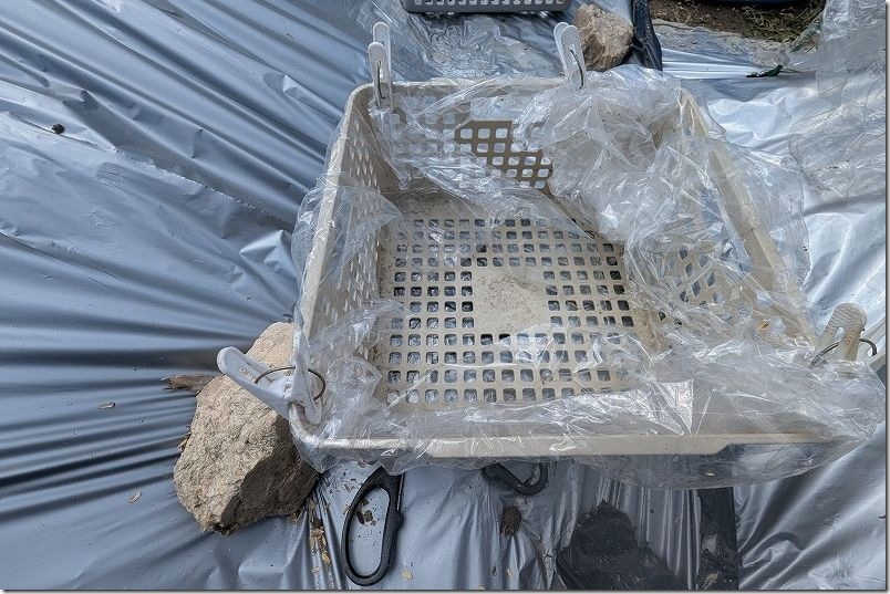 スイカの4月上旬植え付けで苗の簡易防寒|カゴにビニールで対策 スイカの4月上旬植え付けで苗の簡易防寒|カゴにビニールで対策