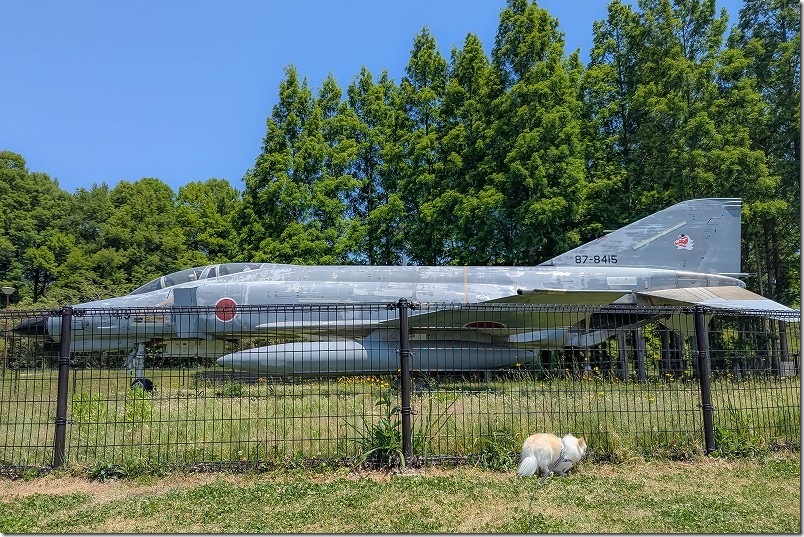 F4戦闘機と犬・チワワ|メタセの杜 F4戦闘機と犬・チワワ|メタセの杜