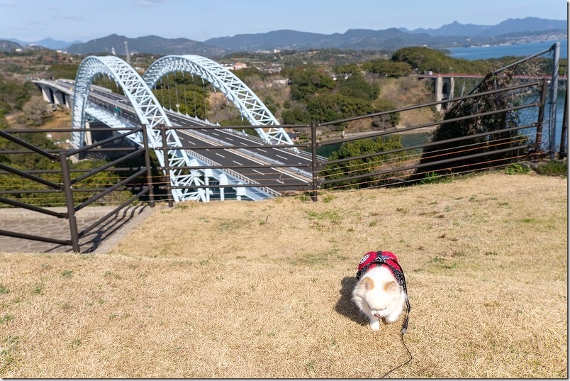 犬と散策、西海の丘展望台からの展望