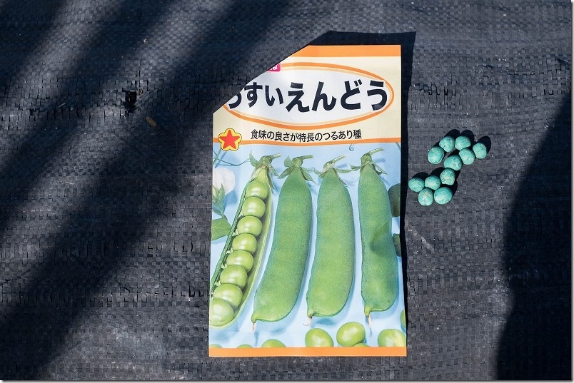 豆ご飯が食べたくて買った「うすいえんどう」の種 豆ご飯が食べたくて買った「うすいえんどう」の種