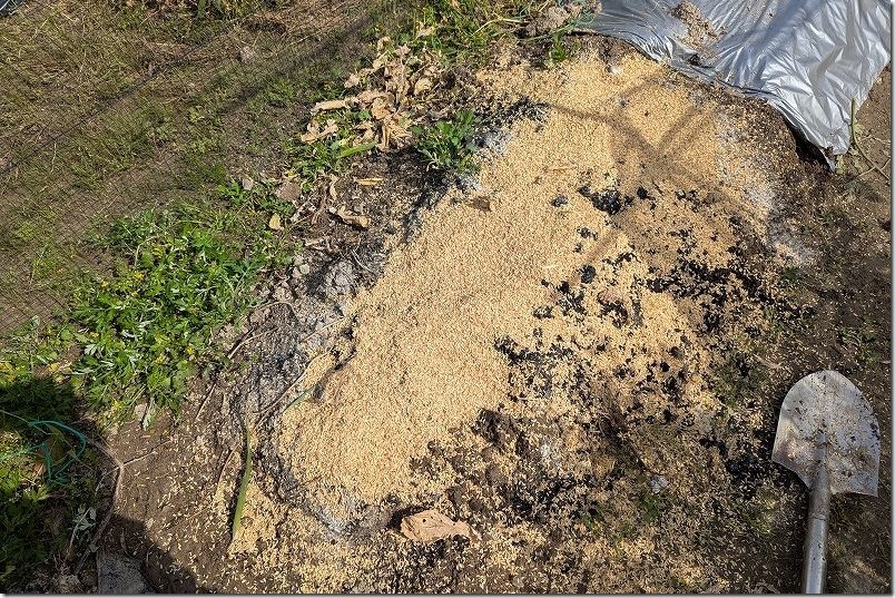 マクワウリの土作り|もみ殻多めで水はけを良く! マクワウリの土作り|もみ殻多めで水はけを良く!