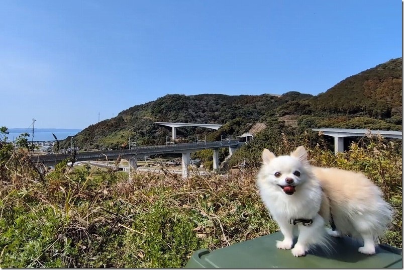 長崎を犬連れ旅行｜無窮洞・小長井フルーツバス停・西九州新幹線スポット巡り