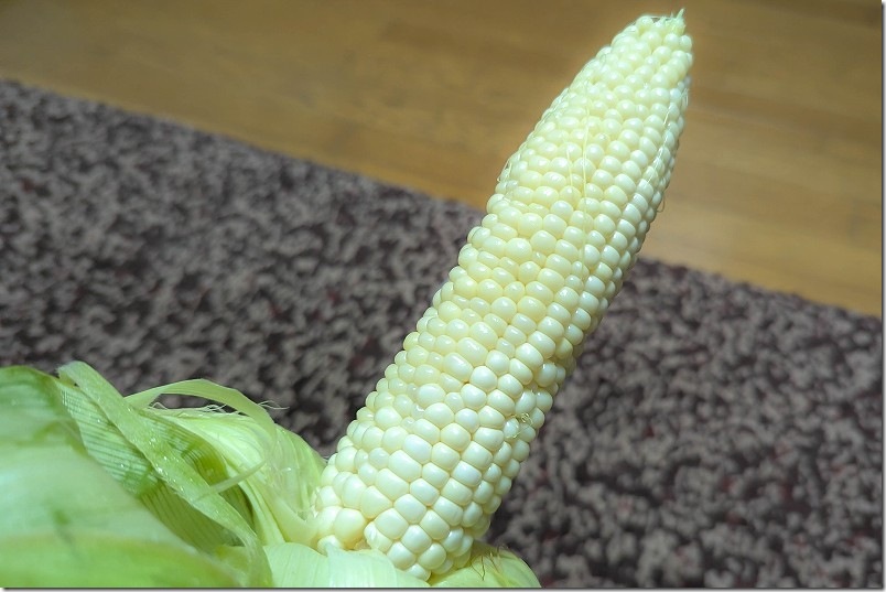 6月下旬 収穫した100均（ダイソー）の交配極甘ホワイトコーン（レンジで加熱後の試食2本目）