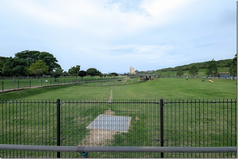 筑後広域公園のドッグランの広さ