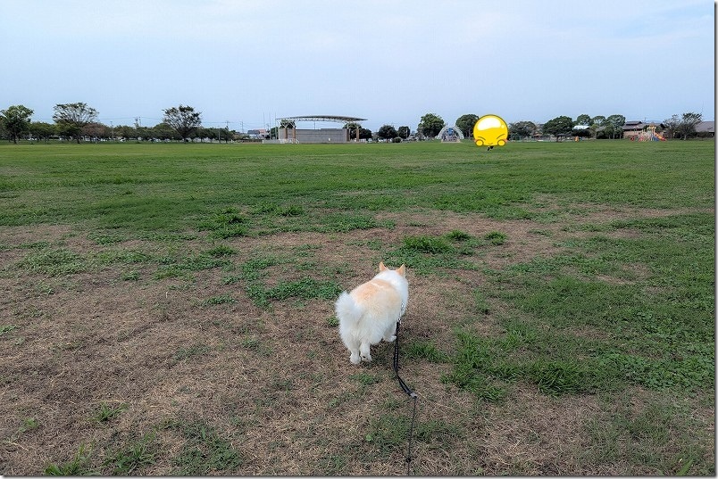 筑後広域公園の芝生広場、野外ステージ、モニュメント