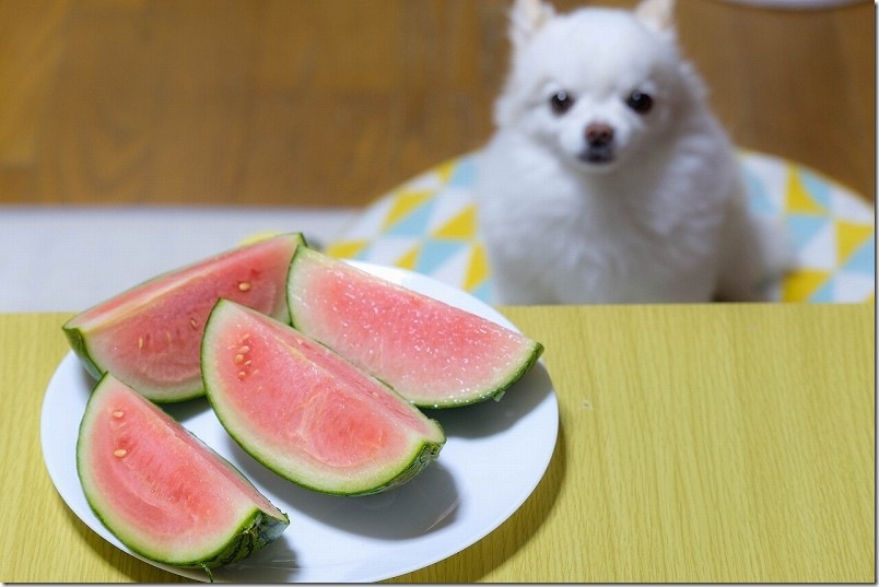 9月下旬に収穫したピノガールを食べる｜家庭菜園