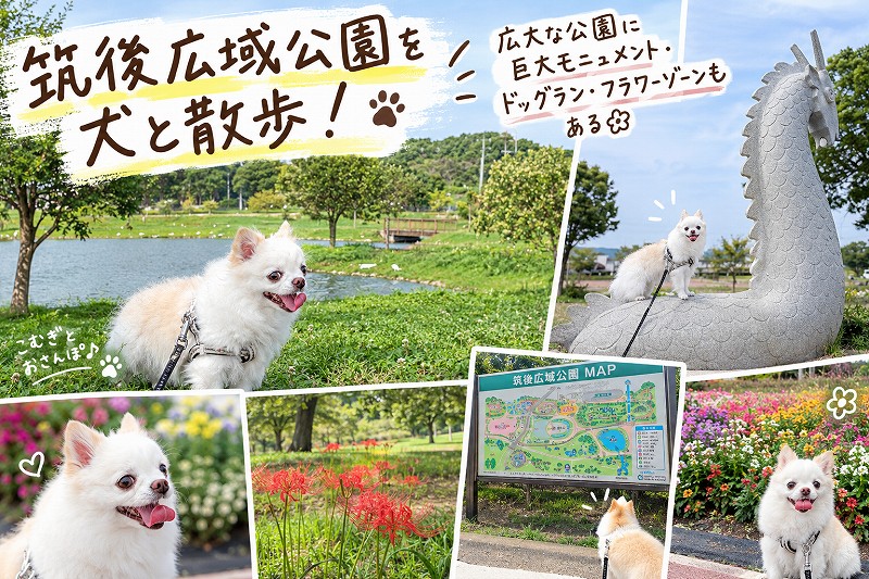 筑後船小屋の筑後広域公園を犬と散歩！広大な公園に巨大モニュメント・ドッグラン・フラワーゾーンもある