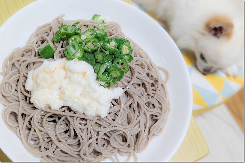 土嚢袋栽培で収穫した自然薯を食べる｜蕎麦のとろろ